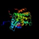 1IR3(insulin receptor)